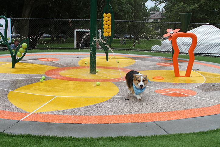 2013 Beneful Dream Dog Park Contest - Fuzzy Today