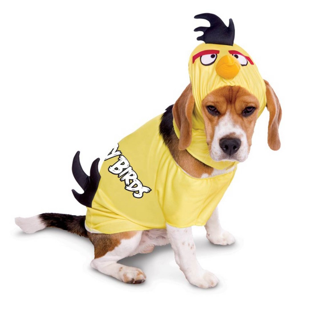 dog costume Archives Fuzzy Today