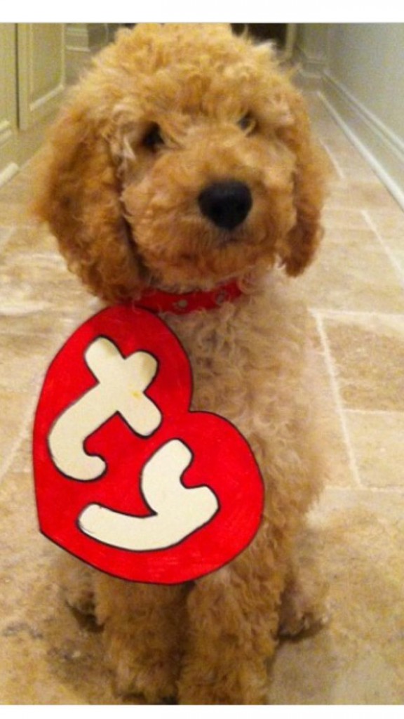 Beanie Baby Dog Costume - Fuzzy Today